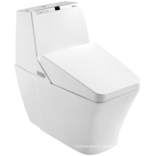 Toilette intelligente automatique de salle de bains en céramique (JN30707)